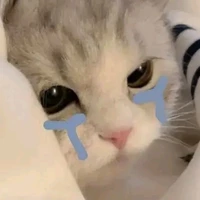 Nguyễn Minh Tân ( Gvcn môn toán)