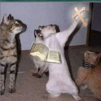 All