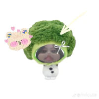tg nek