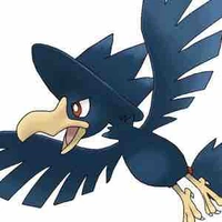 murkrow (s)