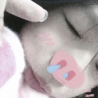 tác giả hiền lành 🐑