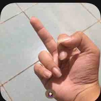 Quản gia nhà hoàng 