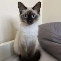 Peter