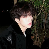 hàn mạc ôn_♊_