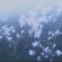 cả lớp 12a3