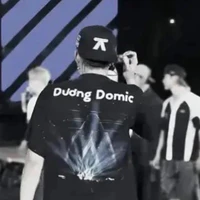 dương domic