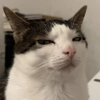 Gái thẳng mê cà thơi:))