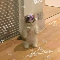 _Bạch trúc nhân _