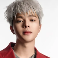 NVP:Nguyễn Quang Anh
