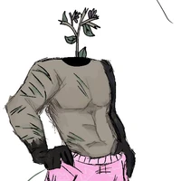 Mr Flowerr