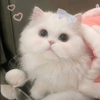 Tác giả siêu cấp đẹp trai