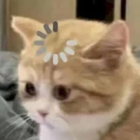 con mèo cuồng otp ChiVie ( tg )