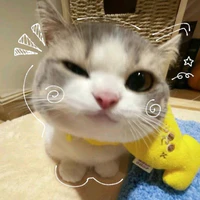 tgia nè🐻
