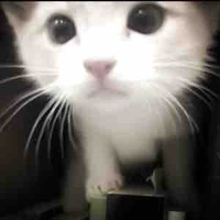 Tác giả đâyy / Juliette