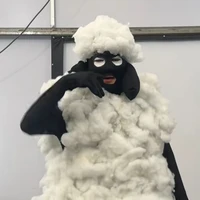 tác giả 🐑