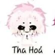 hiha_tha hóa