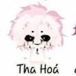 hiha_tha hóa