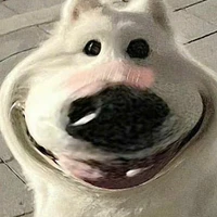 t/g