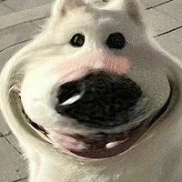 t/g
