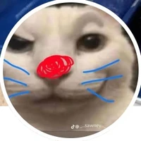 T/giả