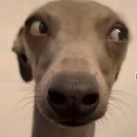 con tg bị đẹp gái