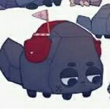 Coal