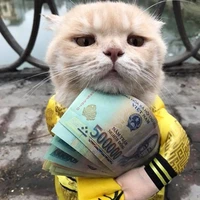 Pi xà (tác giả đây)