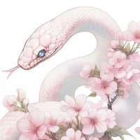 Shihari Osaka