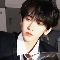 Qi Han
