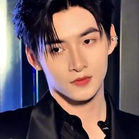 huỳnh hoàng hùng-gemini