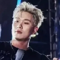 dương domic