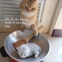 ?  ?  ?