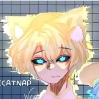 Hiha Anticatnap