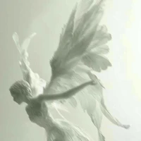 Các cupid khác