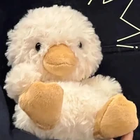 hệ thống ( dzịt pông)