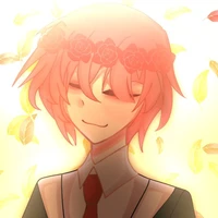 TT HIHA