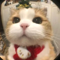 all trừ mấy người cần trừ