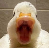 ？？？