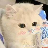 T/g là tớ💞