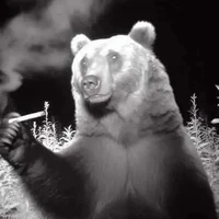 Bọn báo xk(- ng cần trừ)