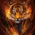 Hỏa Hổ-thần thú của nữ chính