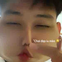 @_hoiiumeoVN