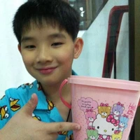 Hongshihoshi