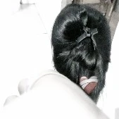 Tác giả cuti