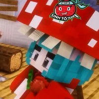 Yummie Mushroom