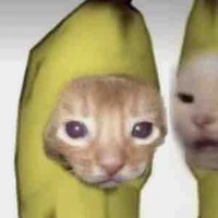 Oioioi