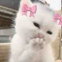 Tác giả