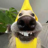 Tác Giả 🍌