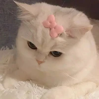 Tác giả | Yuuka