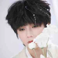 Vương lỗ Kiệt 